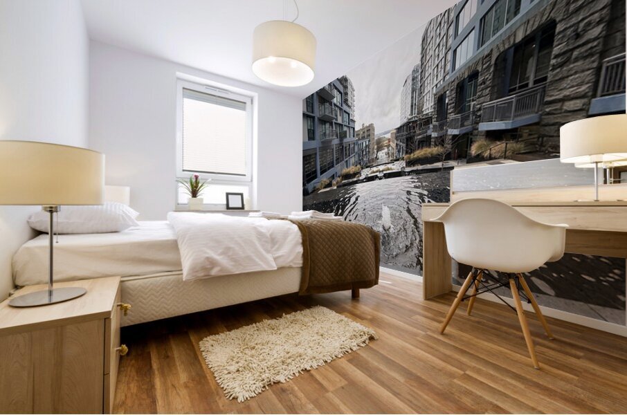 IMG 8438 Mural print