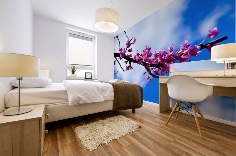 IMG 1702 Mural print