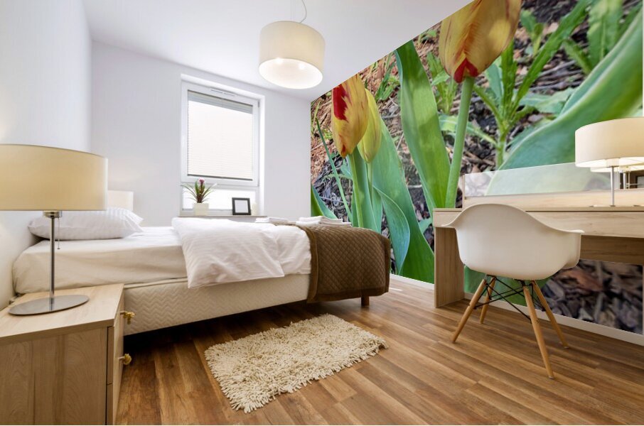 IMG 1613 Impression murale