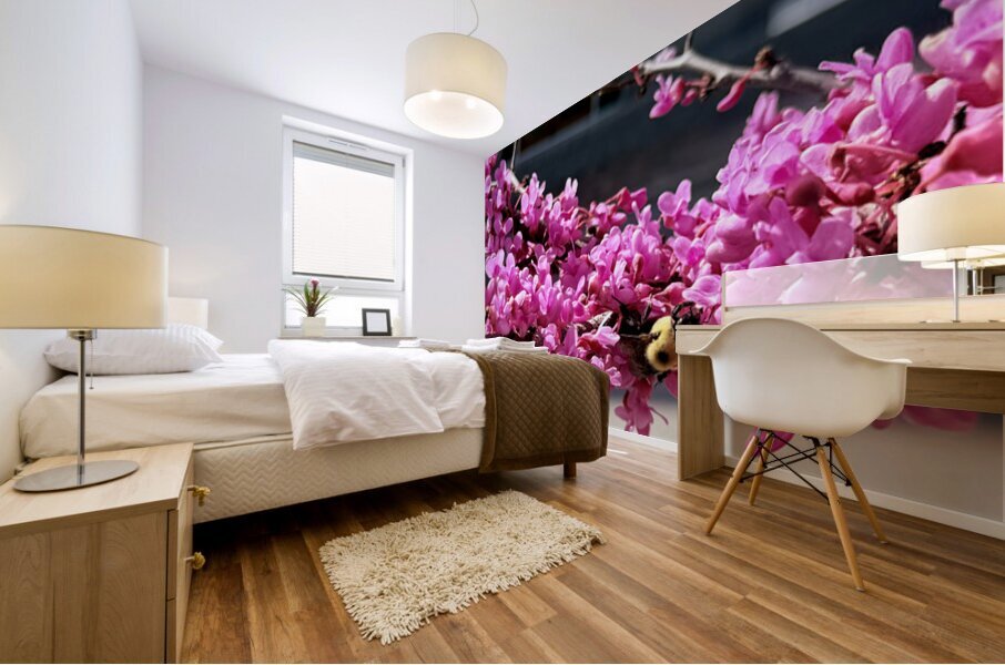 IMG 1627 Mural print