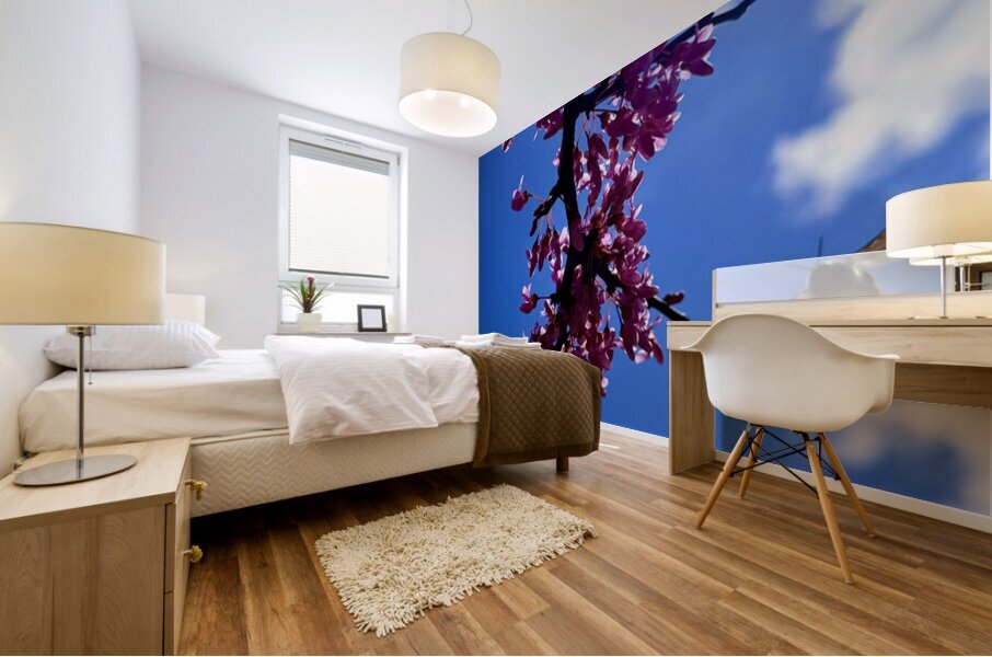 IMG 1556 Mural print