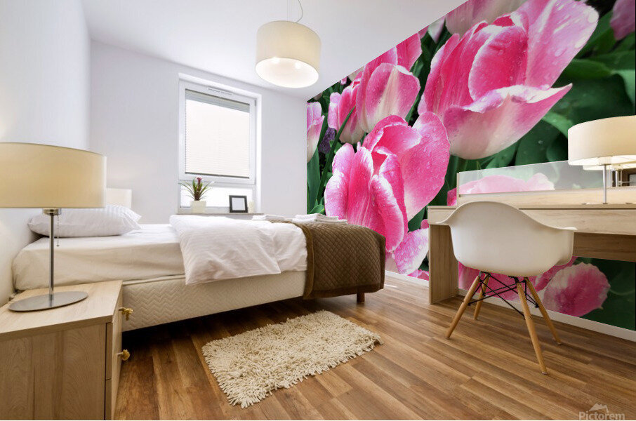 Tulips Are Better Than One B Mural print