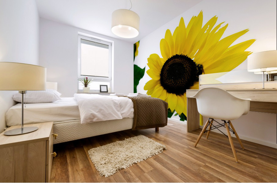 Blooms of Joy 3 Impression murale