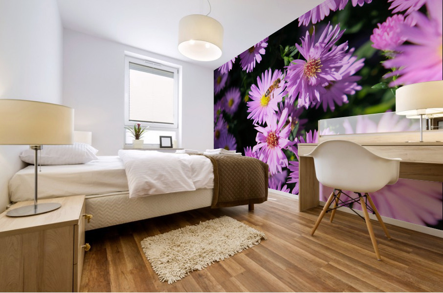 Pink Daisies 2B Impression murale