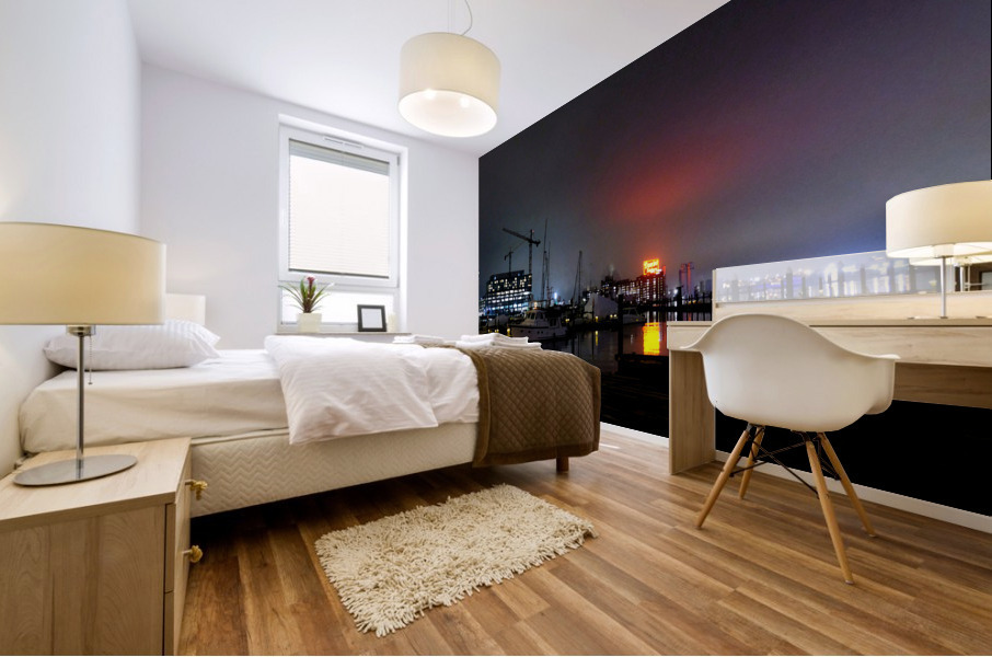 Beautiful Baltimore Harbor 3B Mural print