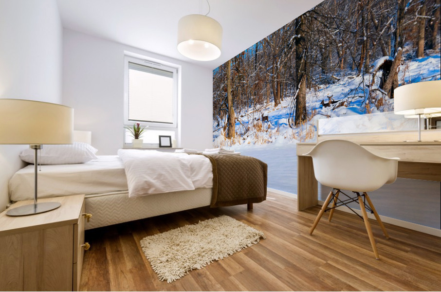 Hiding in Plain Sight Mural print