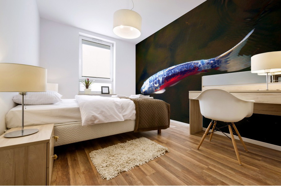 An American Koi Story Impression murale