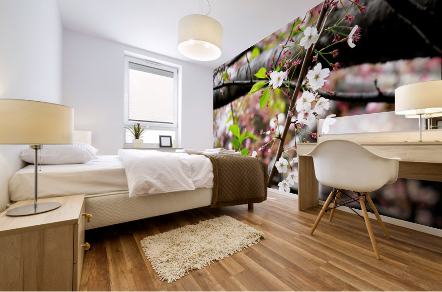 Cherry Blossom 2 Impression murale