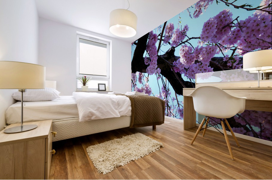 Cherry Blossom  Impression murale
