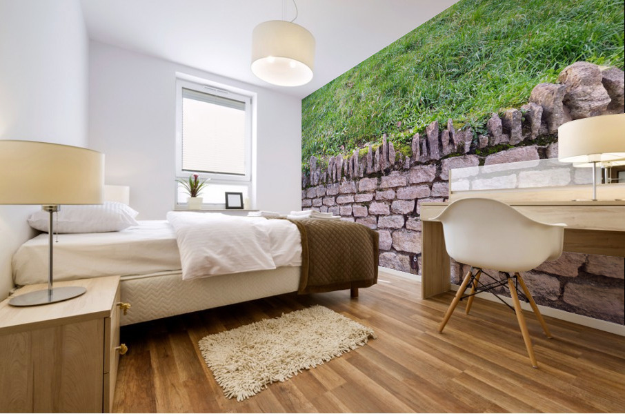Barbed Stone Wall Mural print