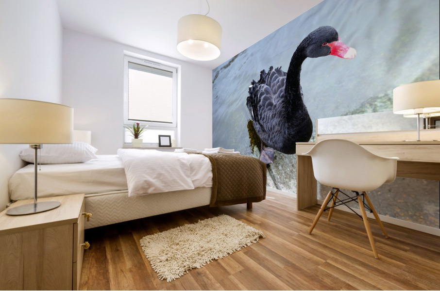 A Black Swan Moment 3 Mural print