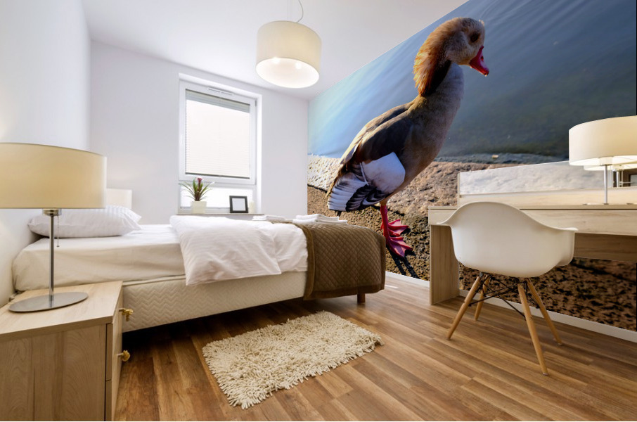 Duck Pose Impression murale