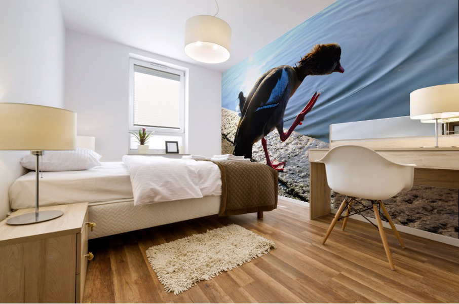  Step Off the Deep End Mural print