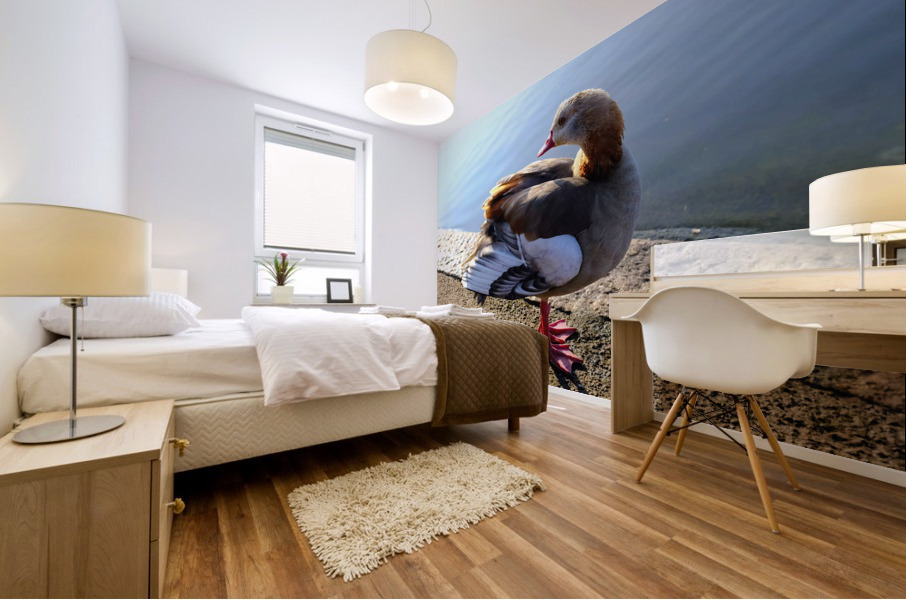 Graceful Pause Impression murale