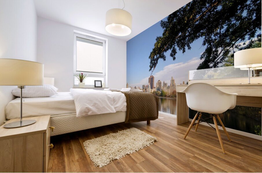 Framed Reflections – Central Park Impression murale