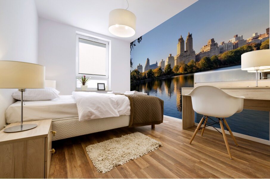 Central Park Reservoir Reflections Mural print