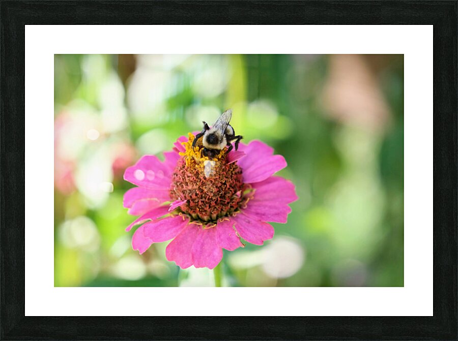 Tiny Architect of the Bloomworld Picture Frame print