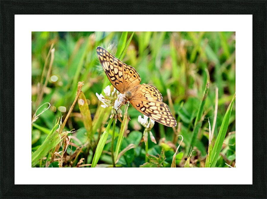 Field Cipher: A Nature Decoded Picture Frame print