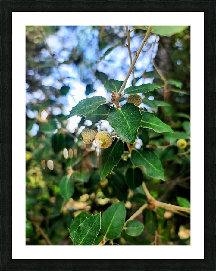 Emergence in Green Picture Frame print
