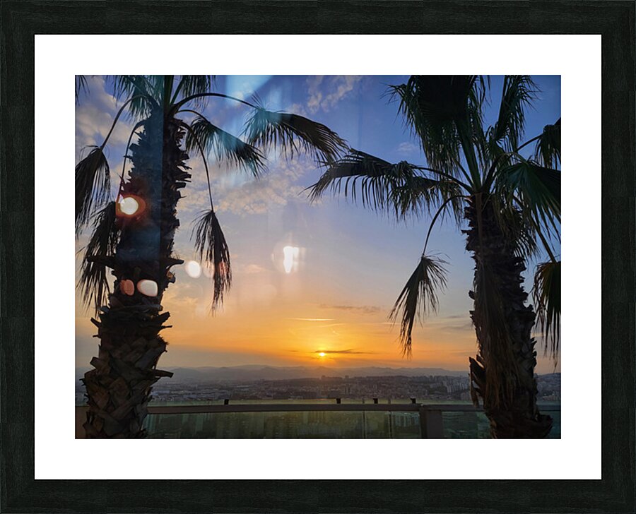 Between Palms and Possibility Picture Frame print