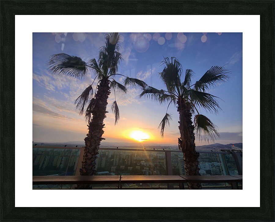 Palms Over the Skyline Picture Frame print