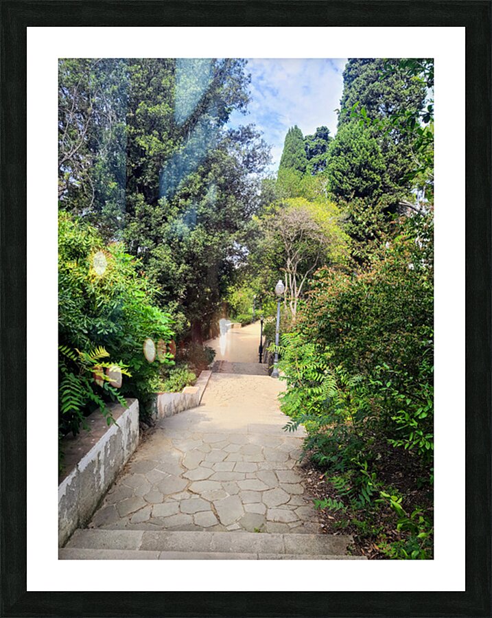 The Pause in the Path Picture Frame print