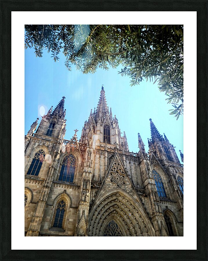 Gothic Roots Olive Crowns: The Cathedral at an Angle of Awe Impression et Cadre photo