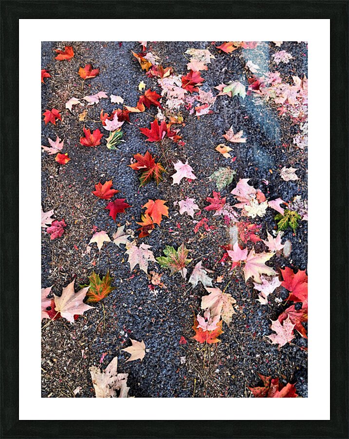 Grounded in Colors: Scattered Beauty Picture Frame print