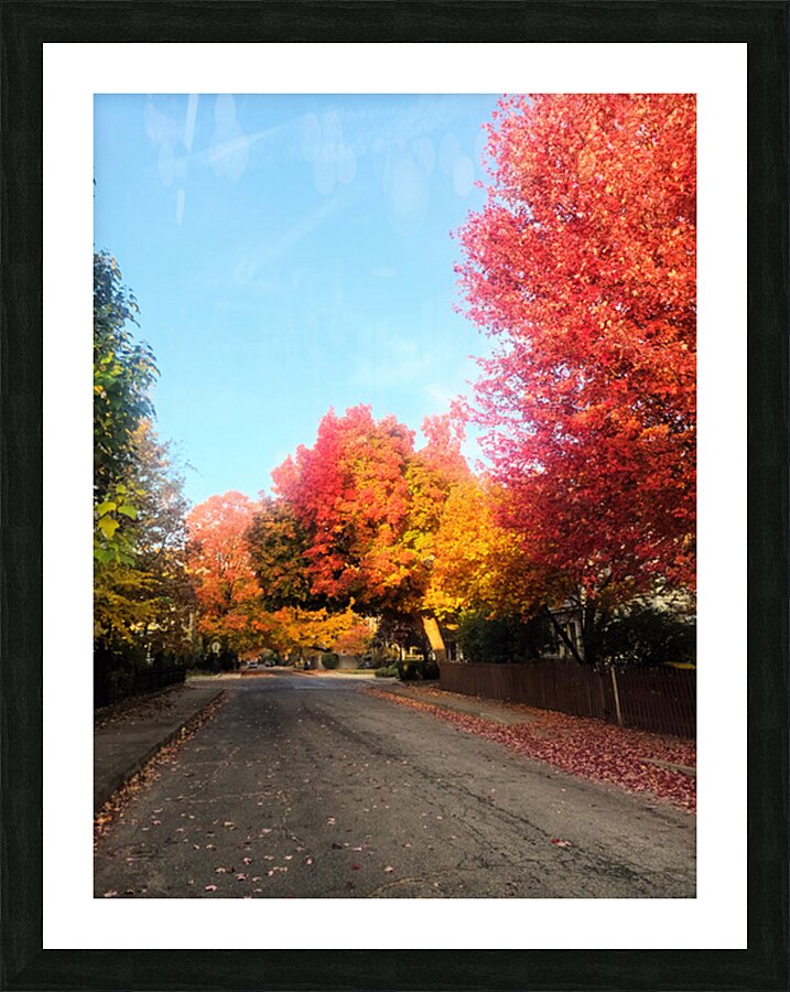 Fall Over the Fence Picture Frame print