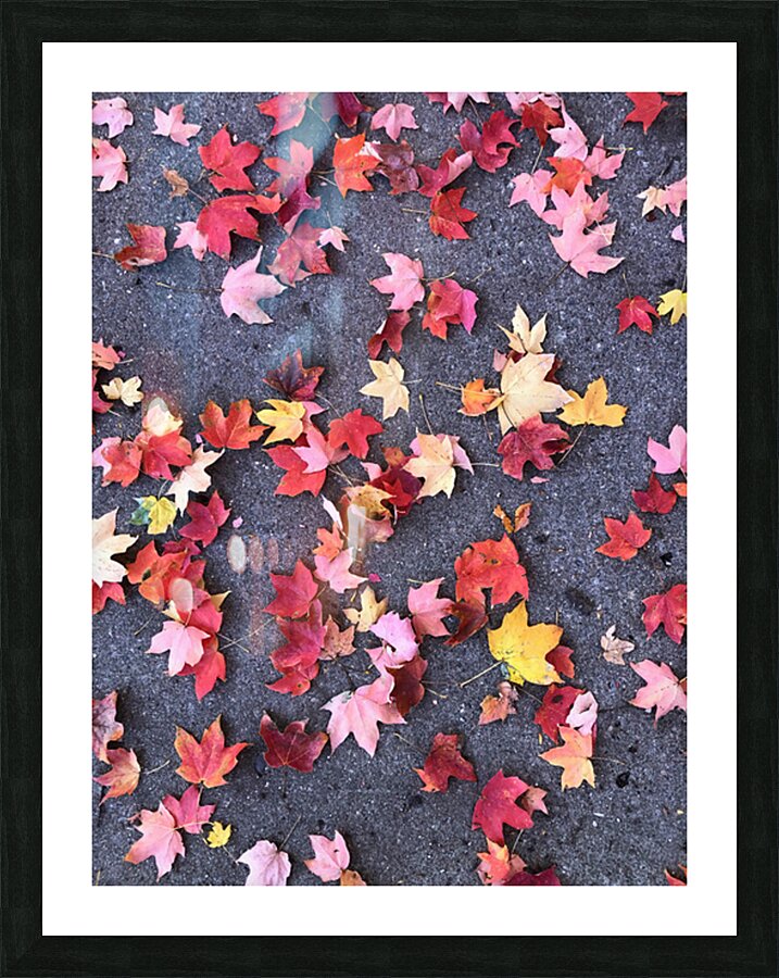 Grounded in Colors 1B Picture Frame print