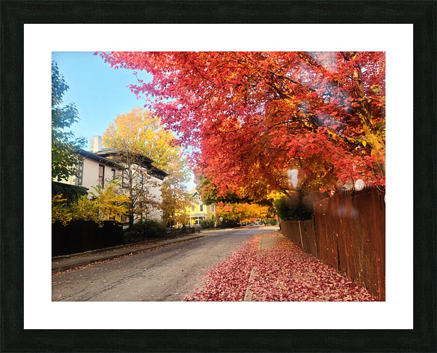 Fall Over the Fence - Autumn’s Embrace  Picture Frame print