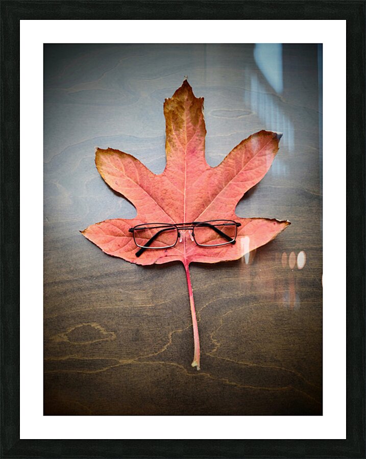 Losing Sight of Fall Picture Frame print
