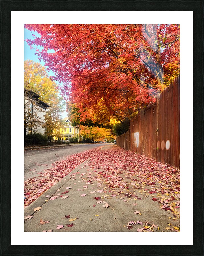 Fall Over the Fence  Picture Frame print