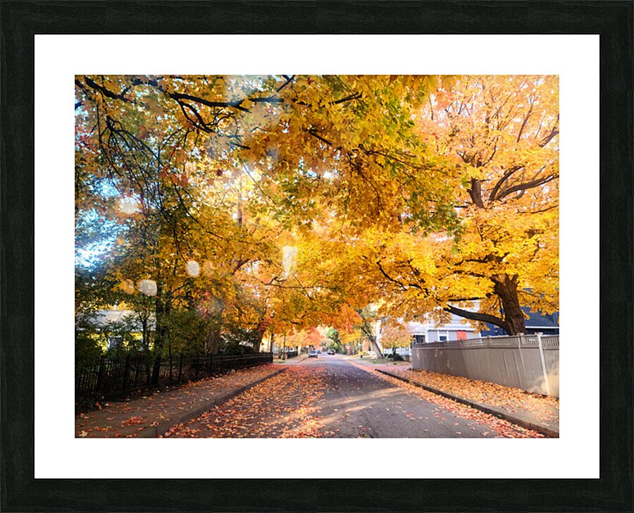 Fall Over the Road Picture Frame print