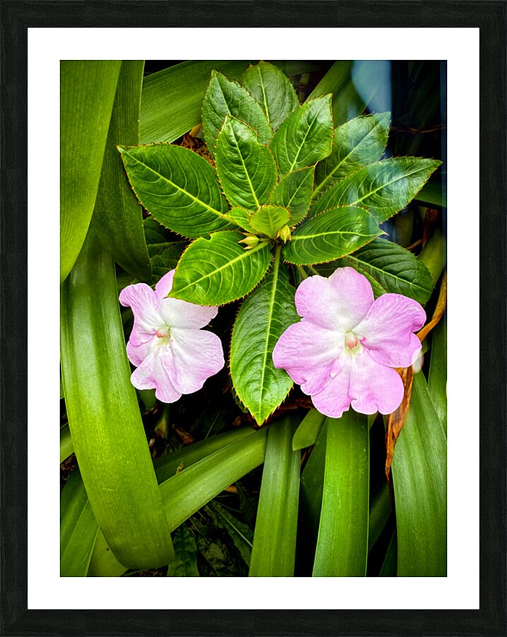 Twin Beauty & Symmetry Impression et Cadre photo