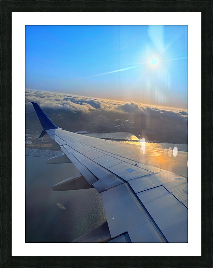 Wings over SF: Above the Quiet Kingdom Picture Frame print