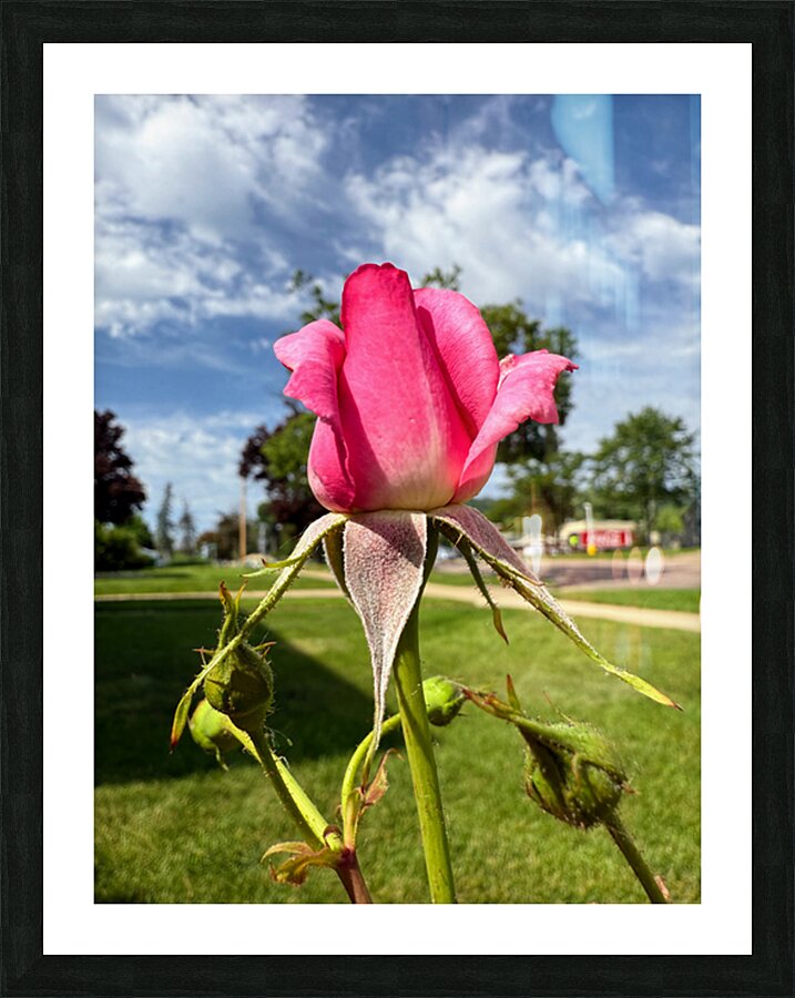 Unspoken Flame of the Garden’s Soul Picture Frame print