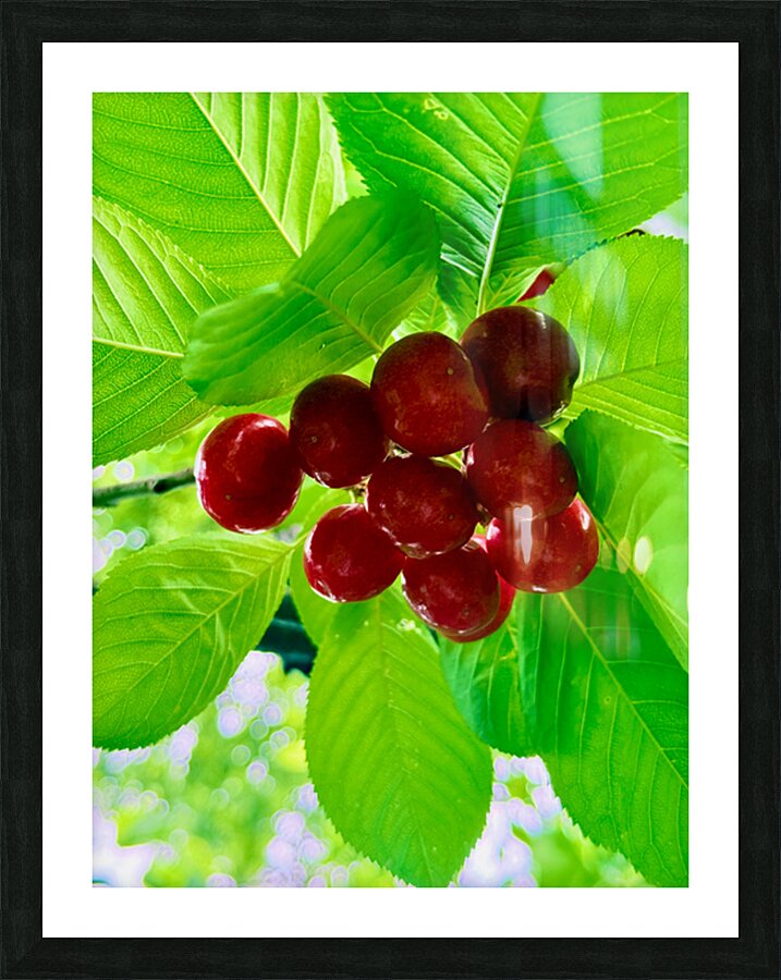 Jewels of the Canopy: The Hidden Orchard Crown Picture Frame print