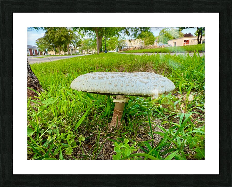 Capstone of the Lawn Picture Frame print