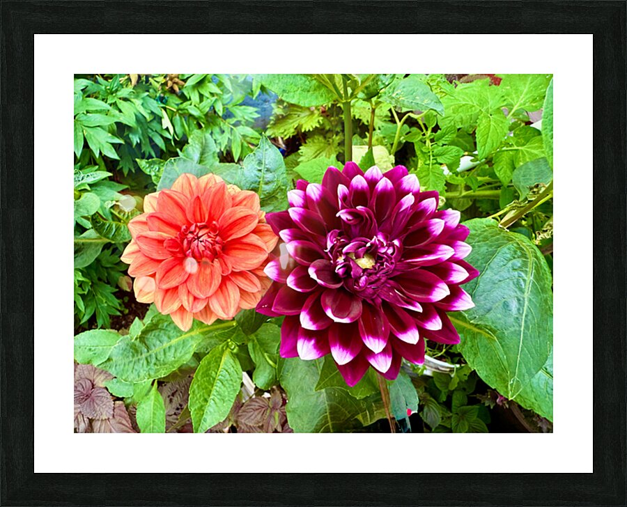 Nature’s Take on Balance and Beauty Picture Frame print