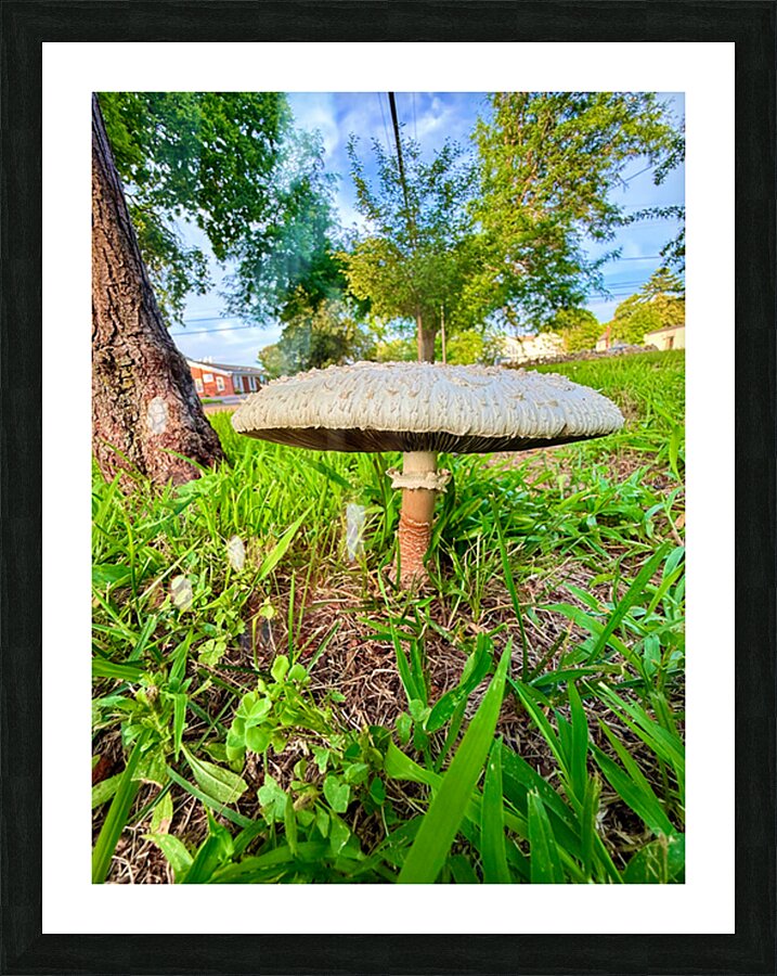 The Lowland Throne Picture Frame print