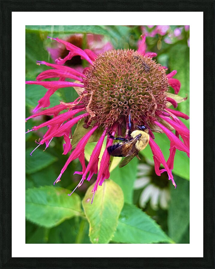 Vital Encounter Picture Frame print