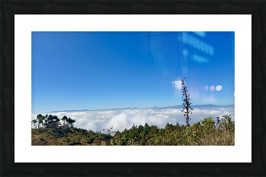 IMG 9119 Picture Frame print