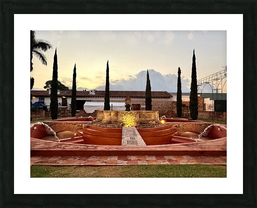 IMG 9984 Picture Frame print