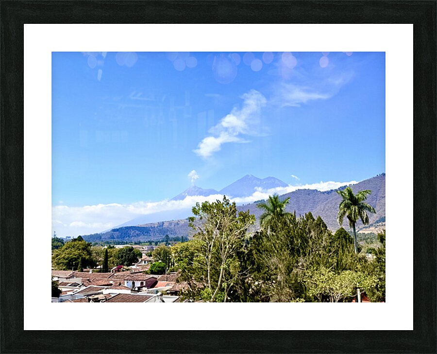 IMG 0160 Picture Frame print