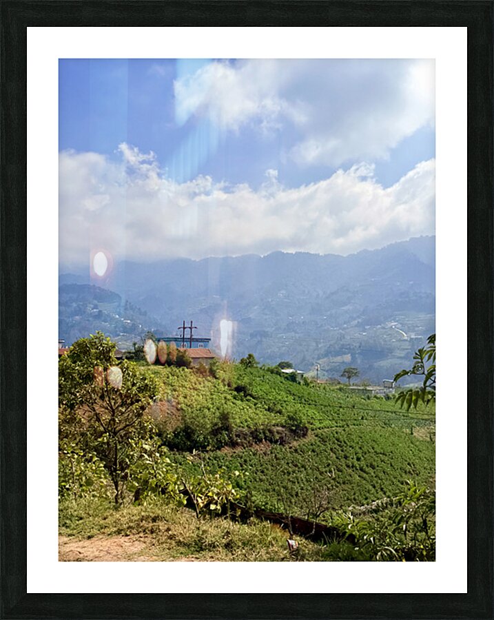 IMG 9267 Picture Frame print