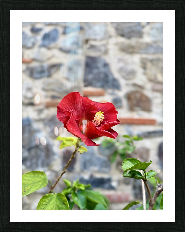 IMG 9957 Impression et Cadre photo