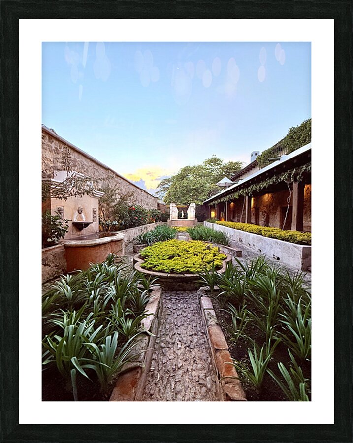 IMG 9974 Picture Frame print