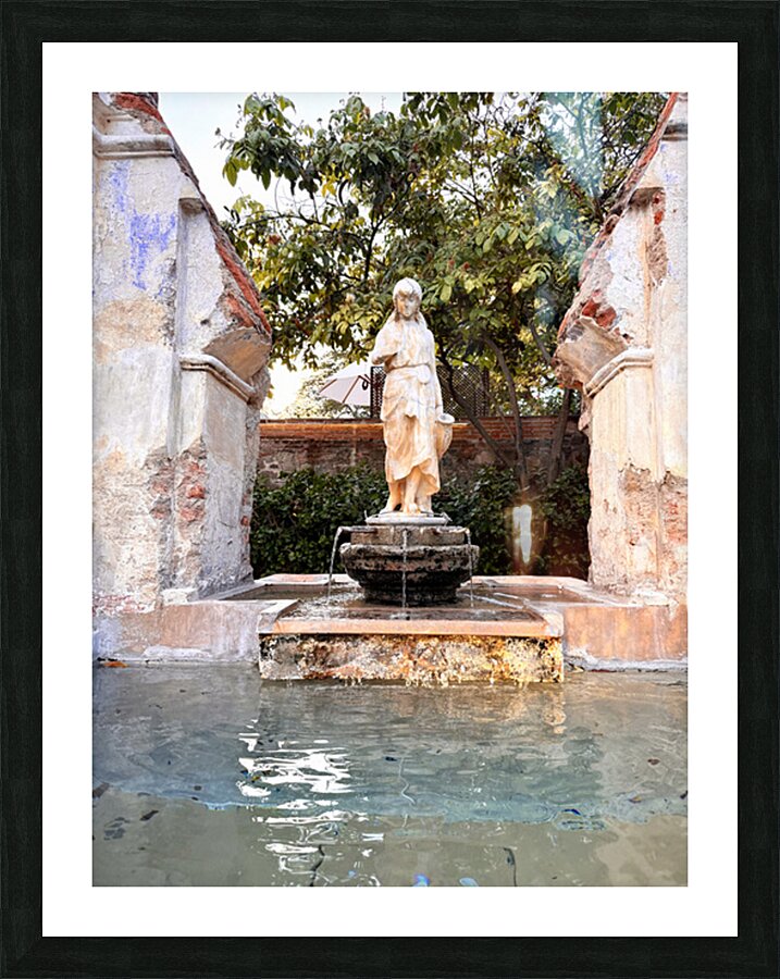 IMG 9961 Picture Frame print