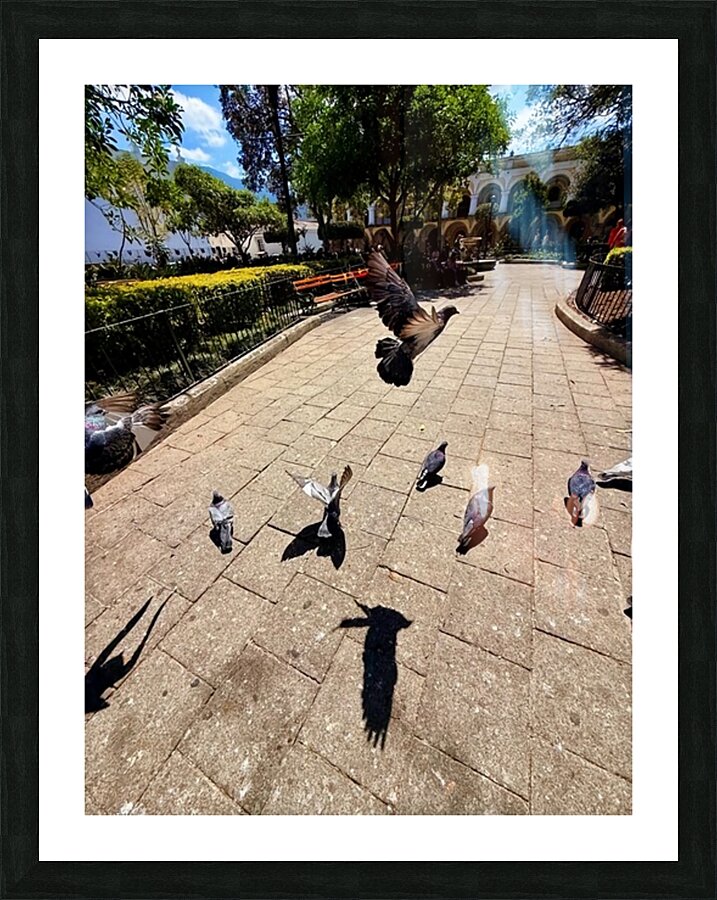 IMG 0279 Picture Frame print